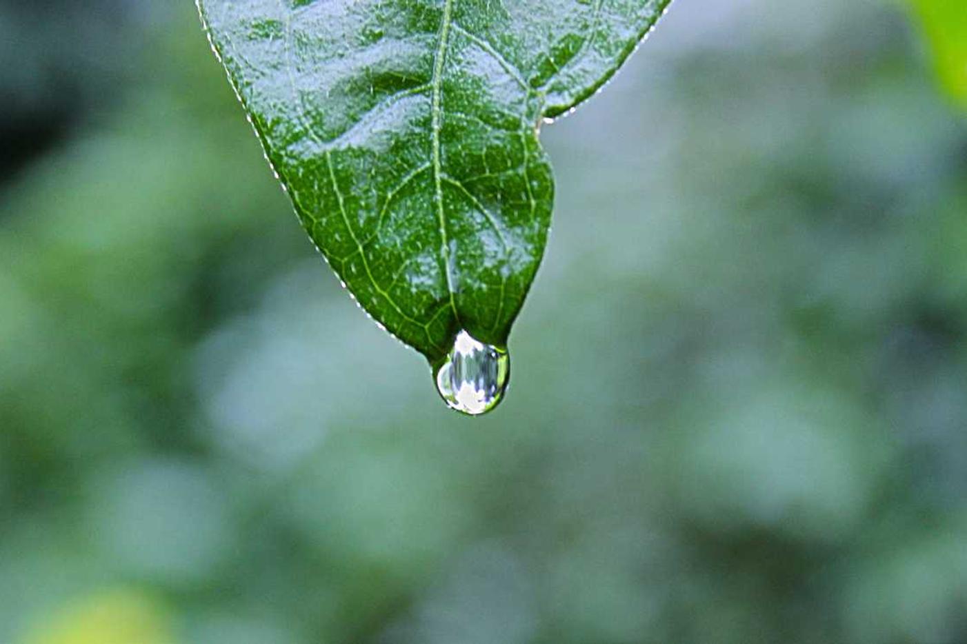 Asperiores dolor adipisci ea eligendi magni